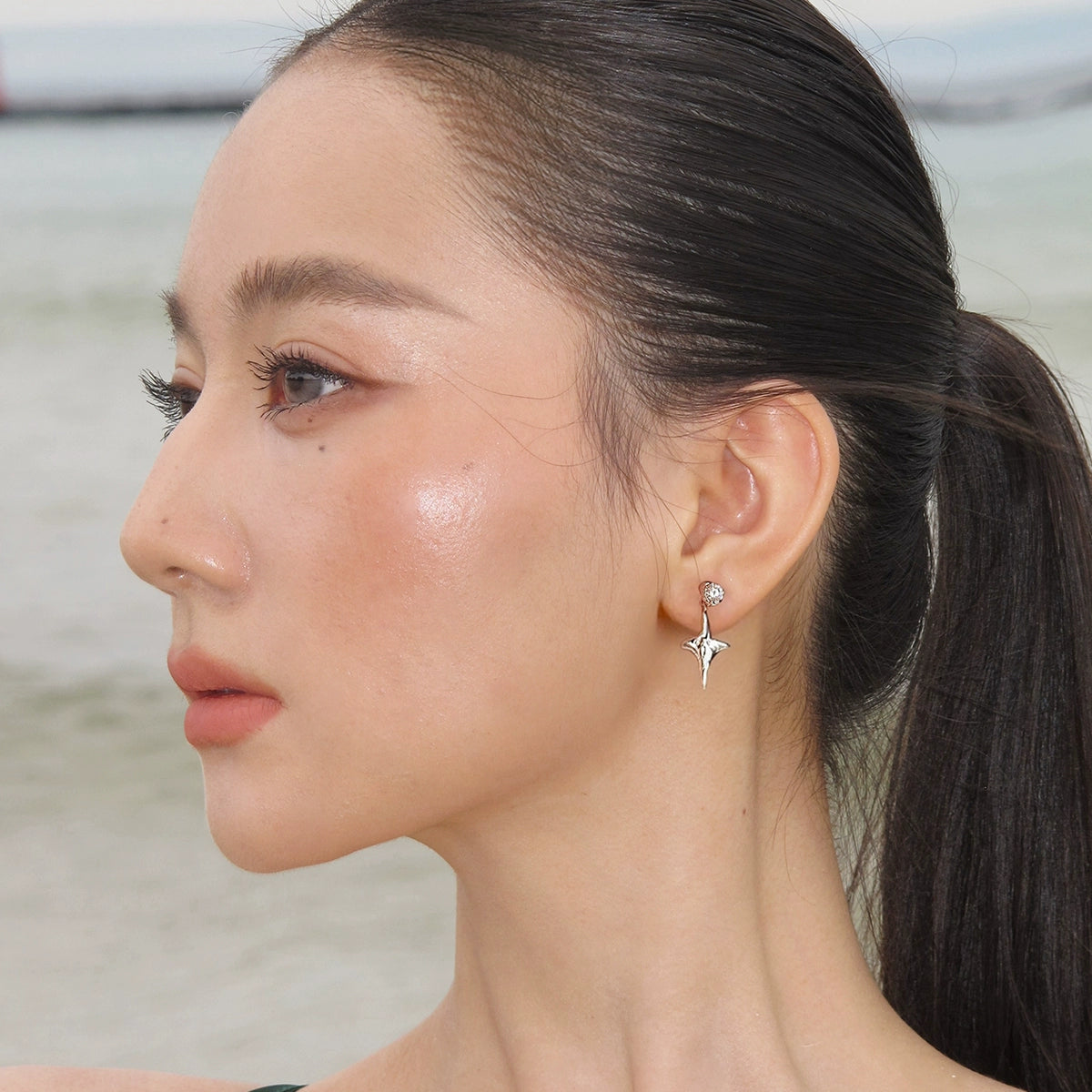 S925 sterling silver with diamonds, silver four-point star stud earrings, women's niche design sense, light luxury, high sense, cold earrings